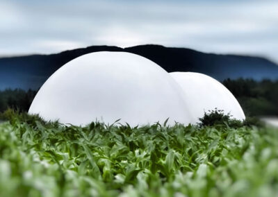 Klima, Nahrung, Natur – Mitgliederausstellung