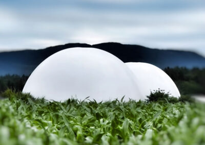 Klima, Nahrung, Natur – Mitgliederausstellung