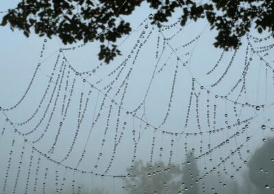 Wasser – Mitgliederausstellung