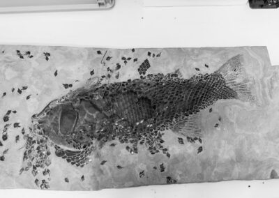 Kulturlandschaften Wasser